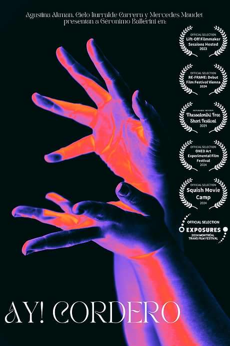 A young butcher grapples with repressed desires and a hidden femininity in a world saturated with blood, death, and violence. The film explores the complexities of duality and the struggle to reconcile inner conflict within a harsh and brutal environment.